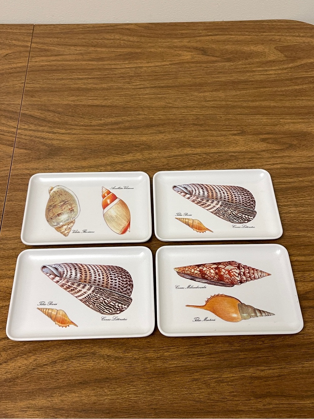 Vintage Nautical Beach Seashell Coin or Trinket Trays